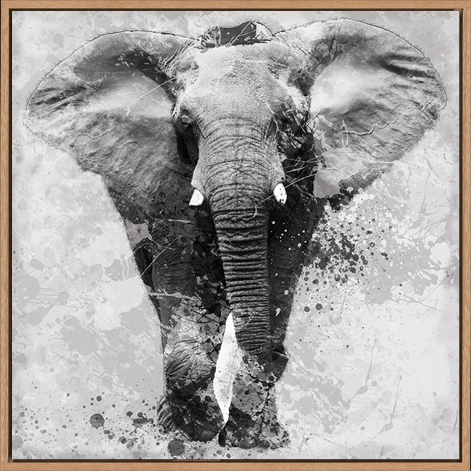 canvas_frame