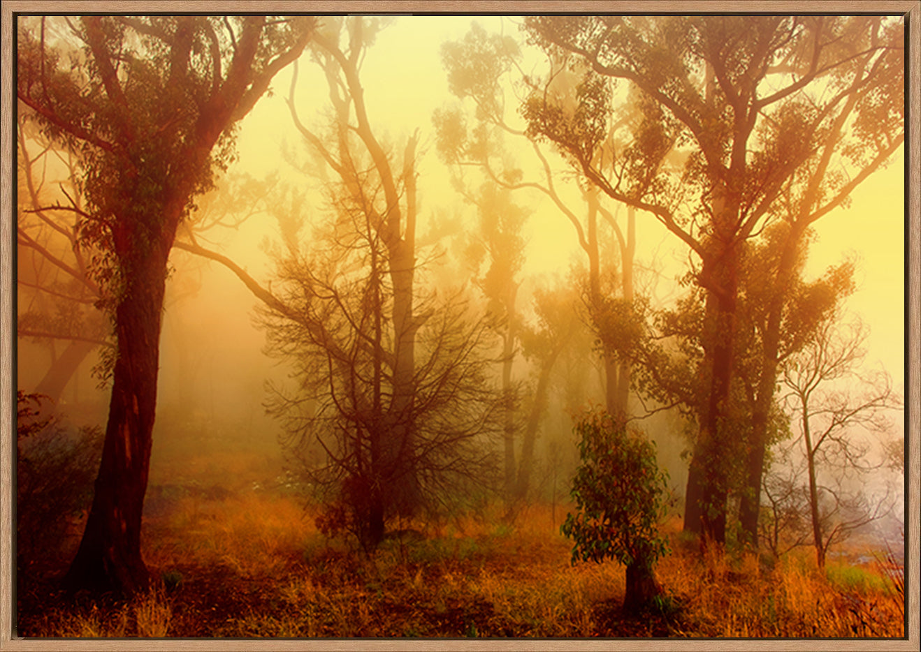 canvas_frame