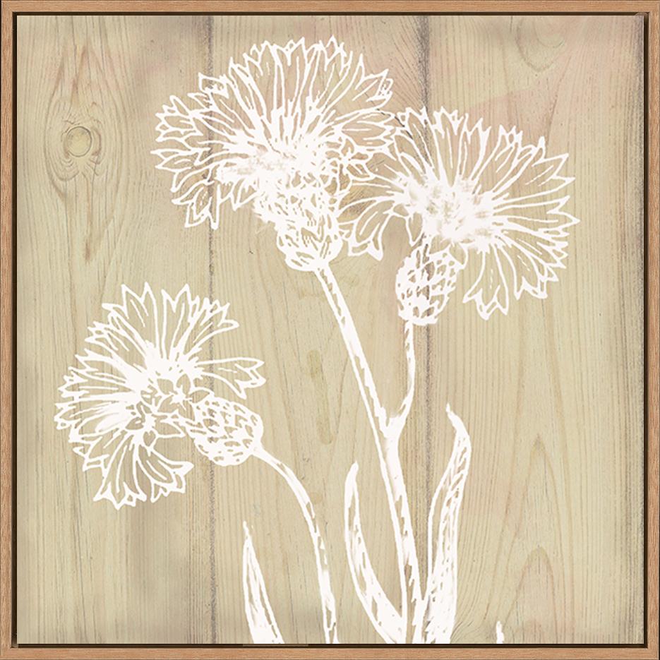 canvas_frame