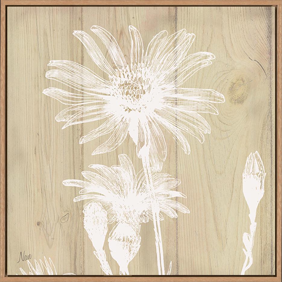 canvas_frame