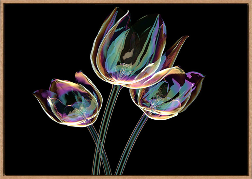 canvas_frame