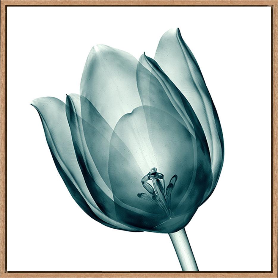 canvas_frame