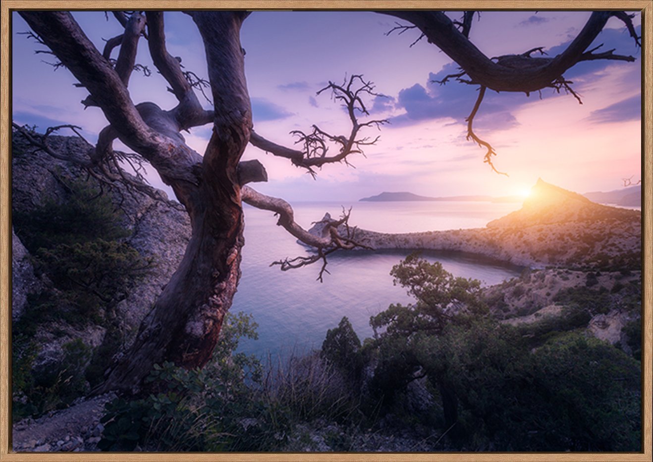 canvas_frame