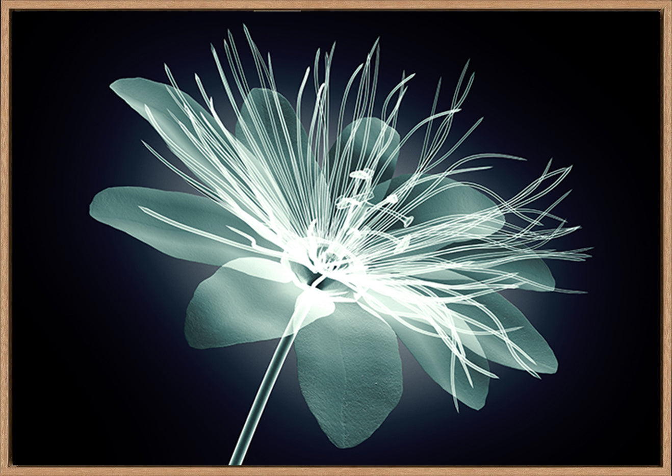canvas_frame