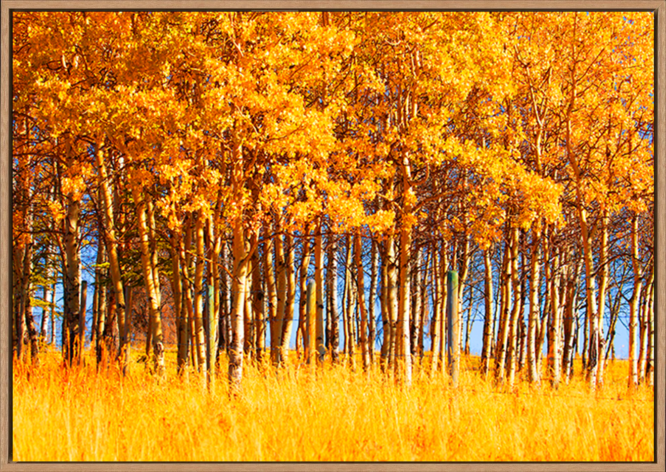 canvas_frame