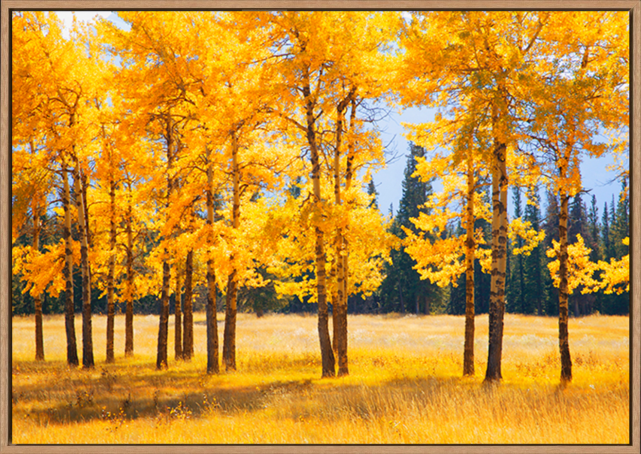 canvas_frame