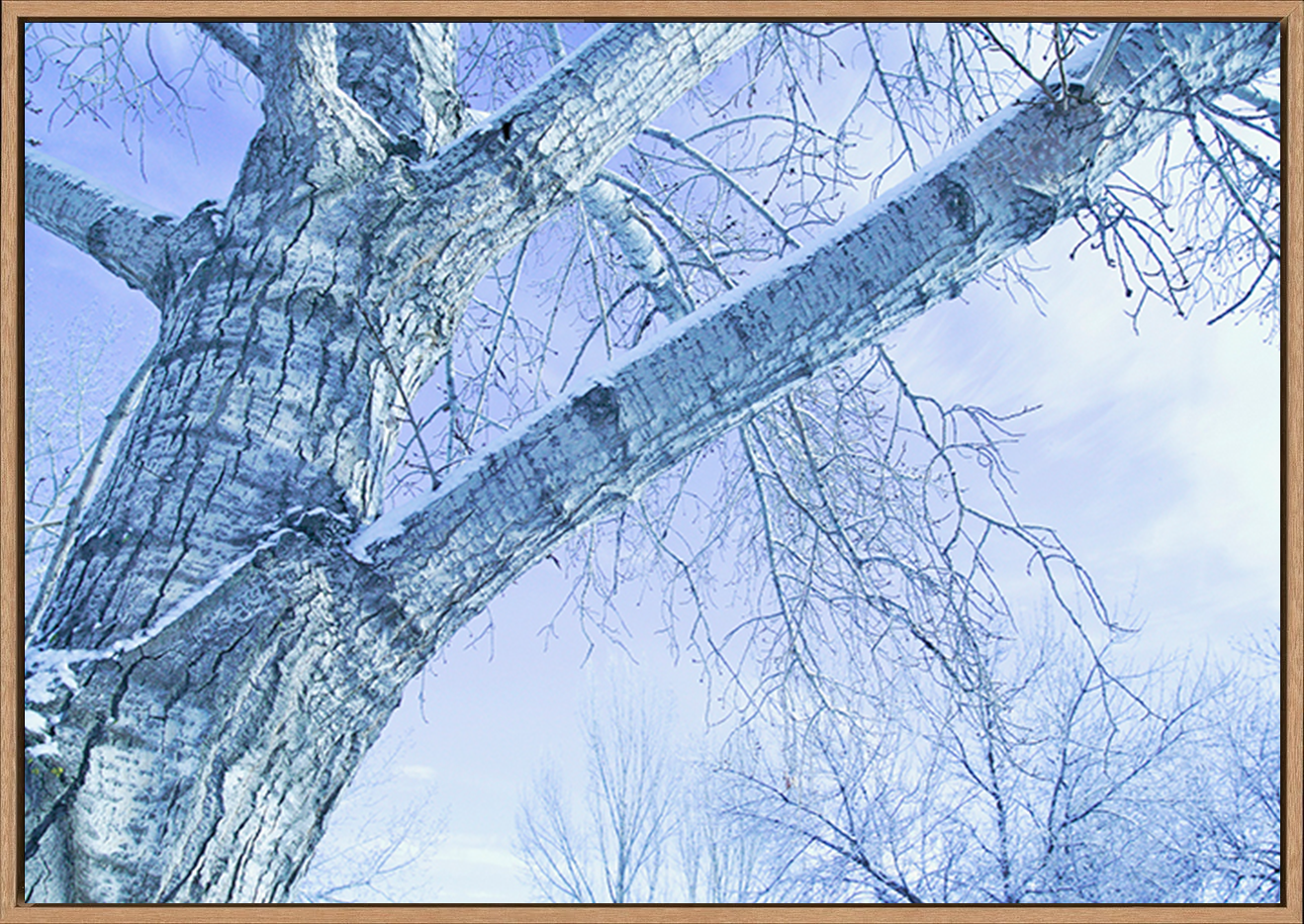 canvas_frame