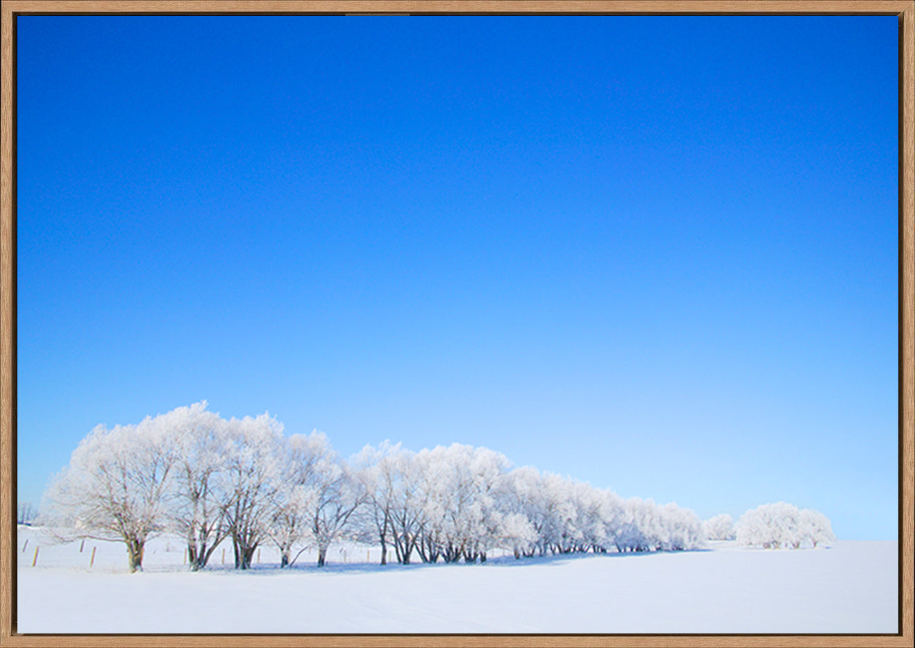 canvas_frame