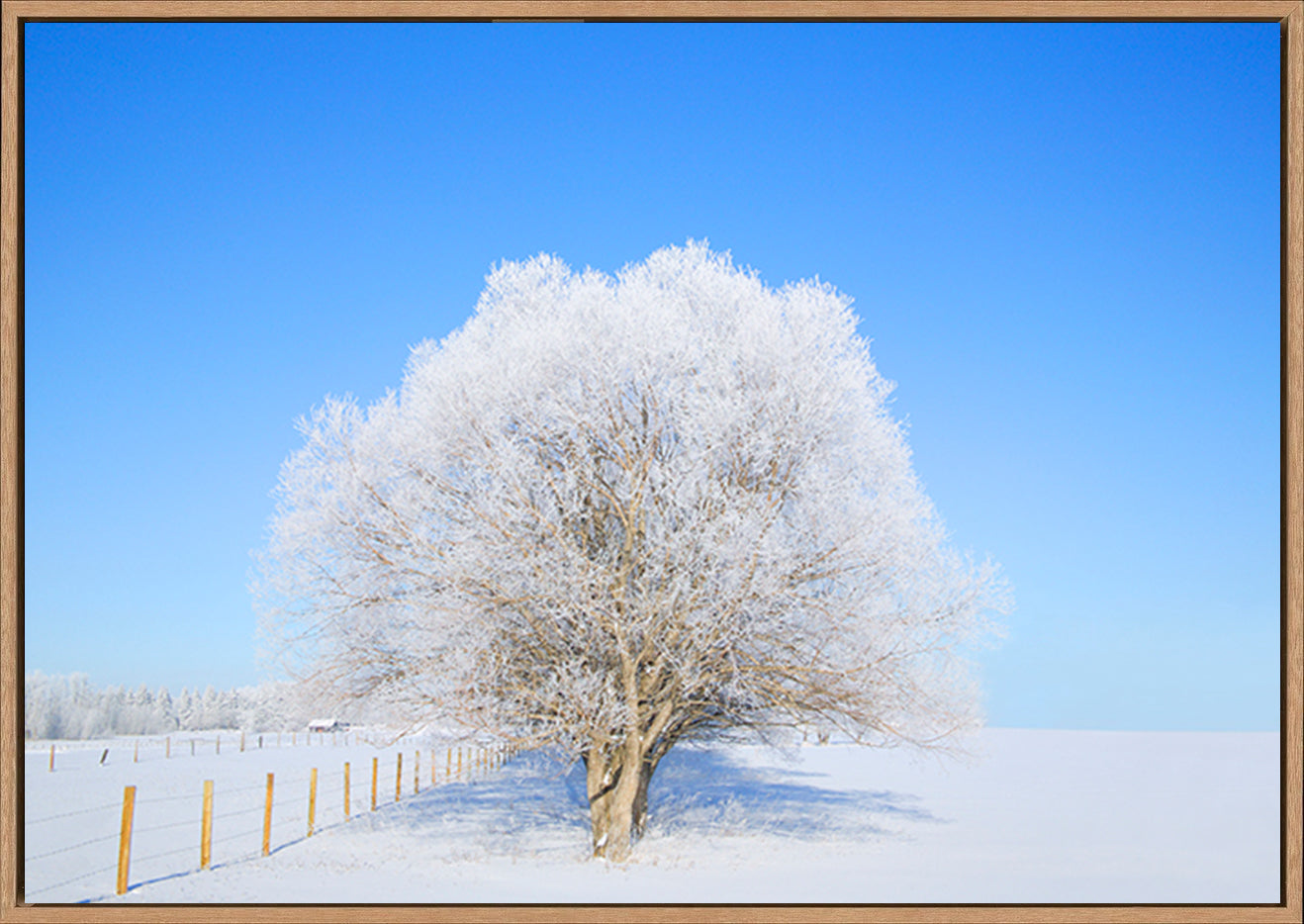 canvas_frame