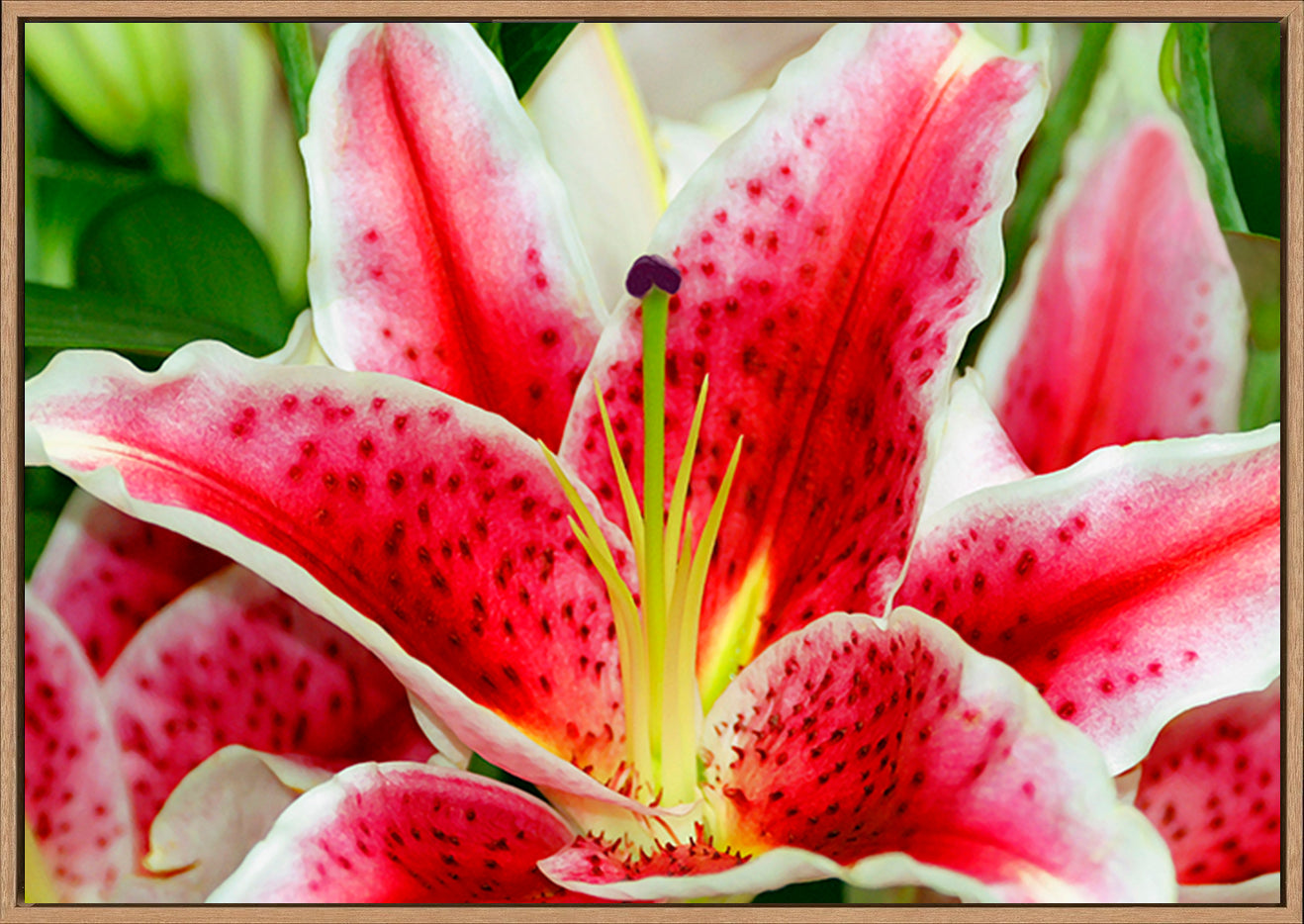 canvas_frame