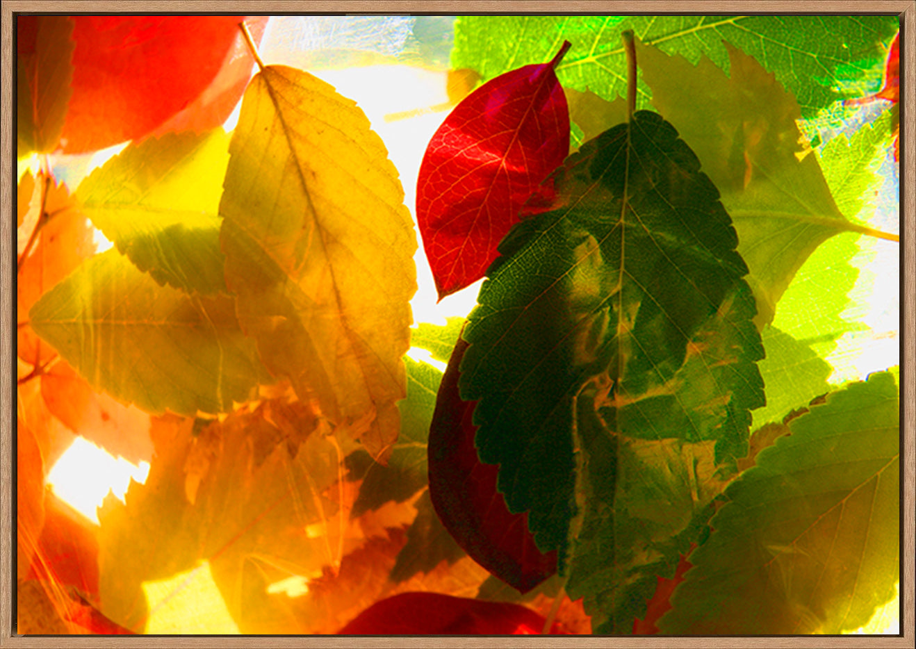 canvas_frame
