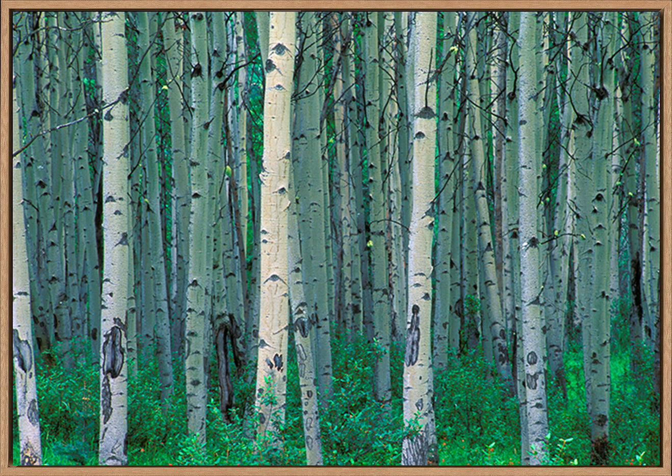 canvas_frame