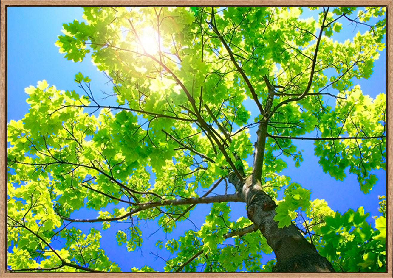 canvas_frame