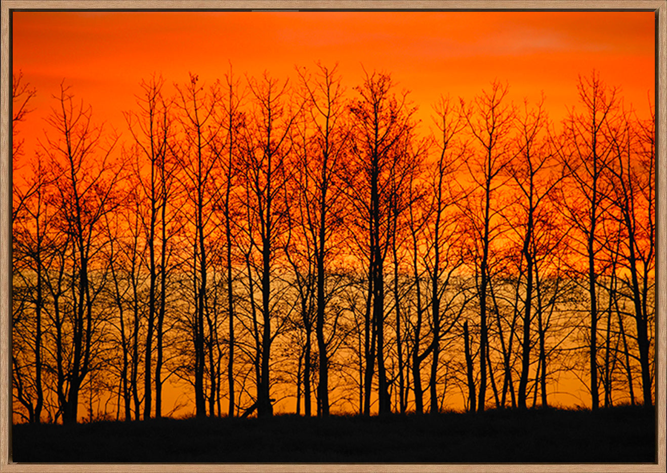 canvas_frame