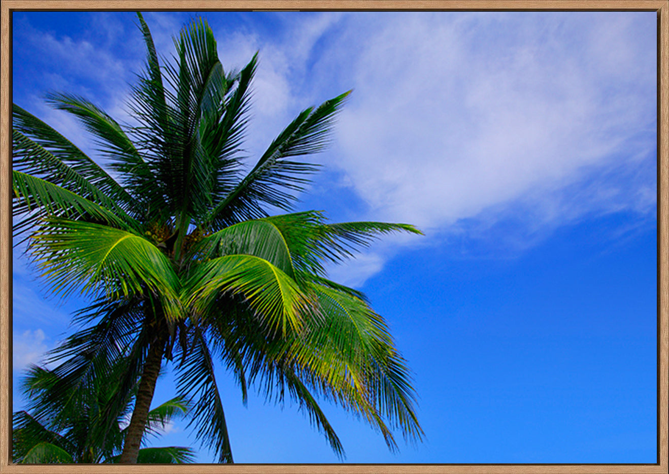 canvas_frame