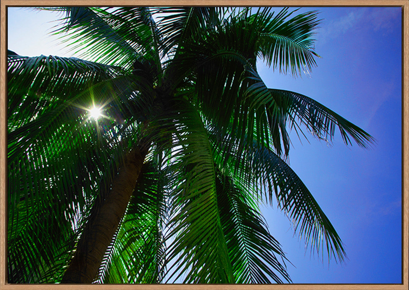 canvas_frame