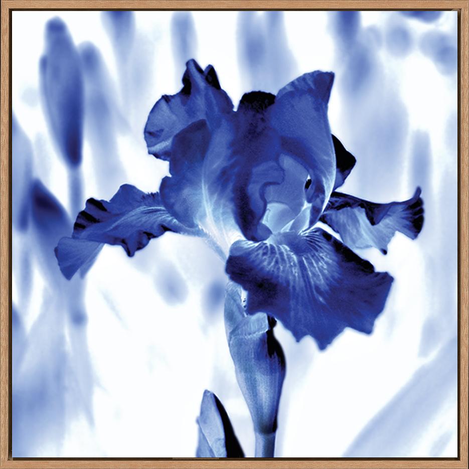 canvas_frame