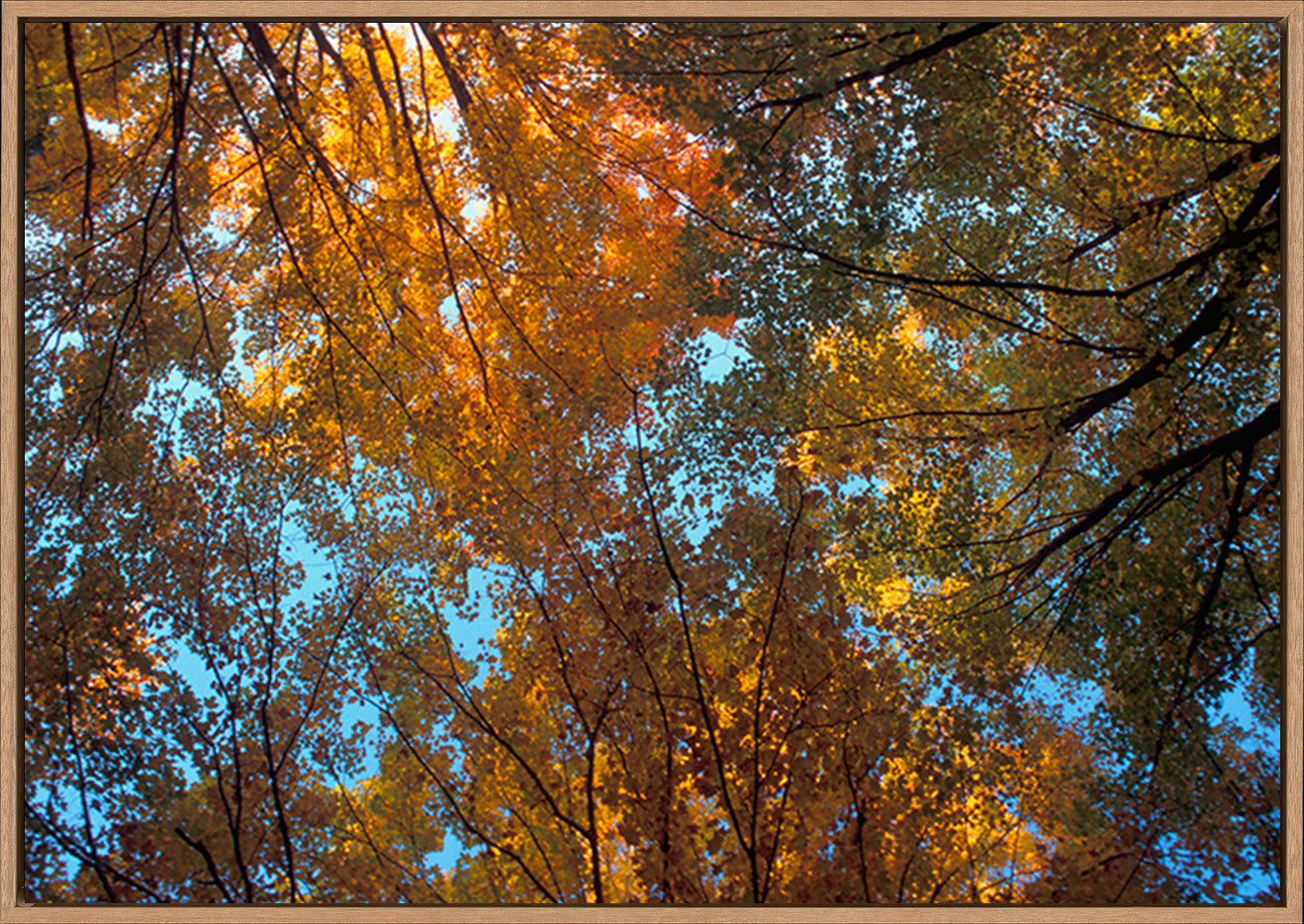 canvas_frame