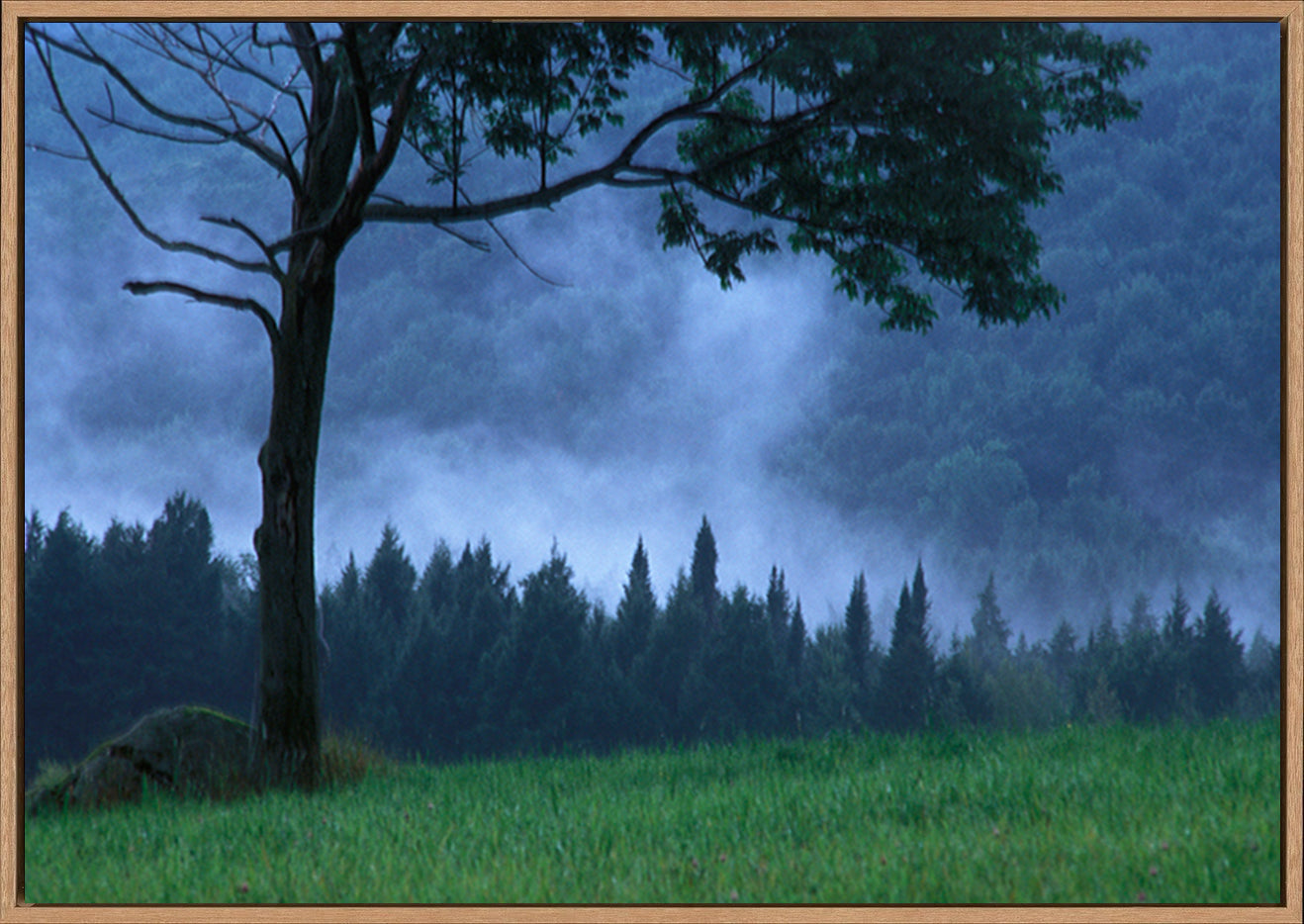 canvas_frame