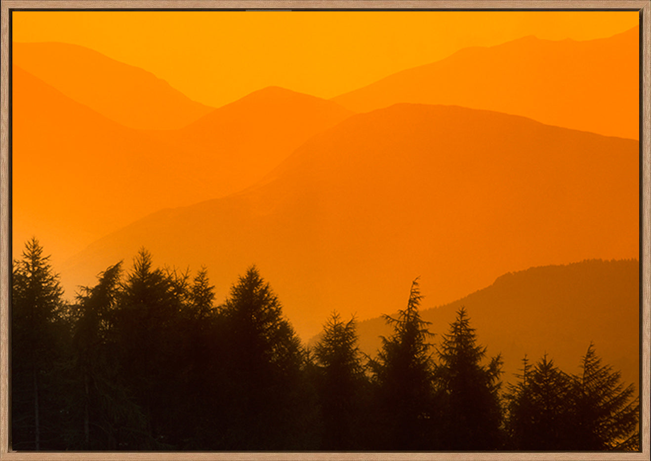 canvas_frame