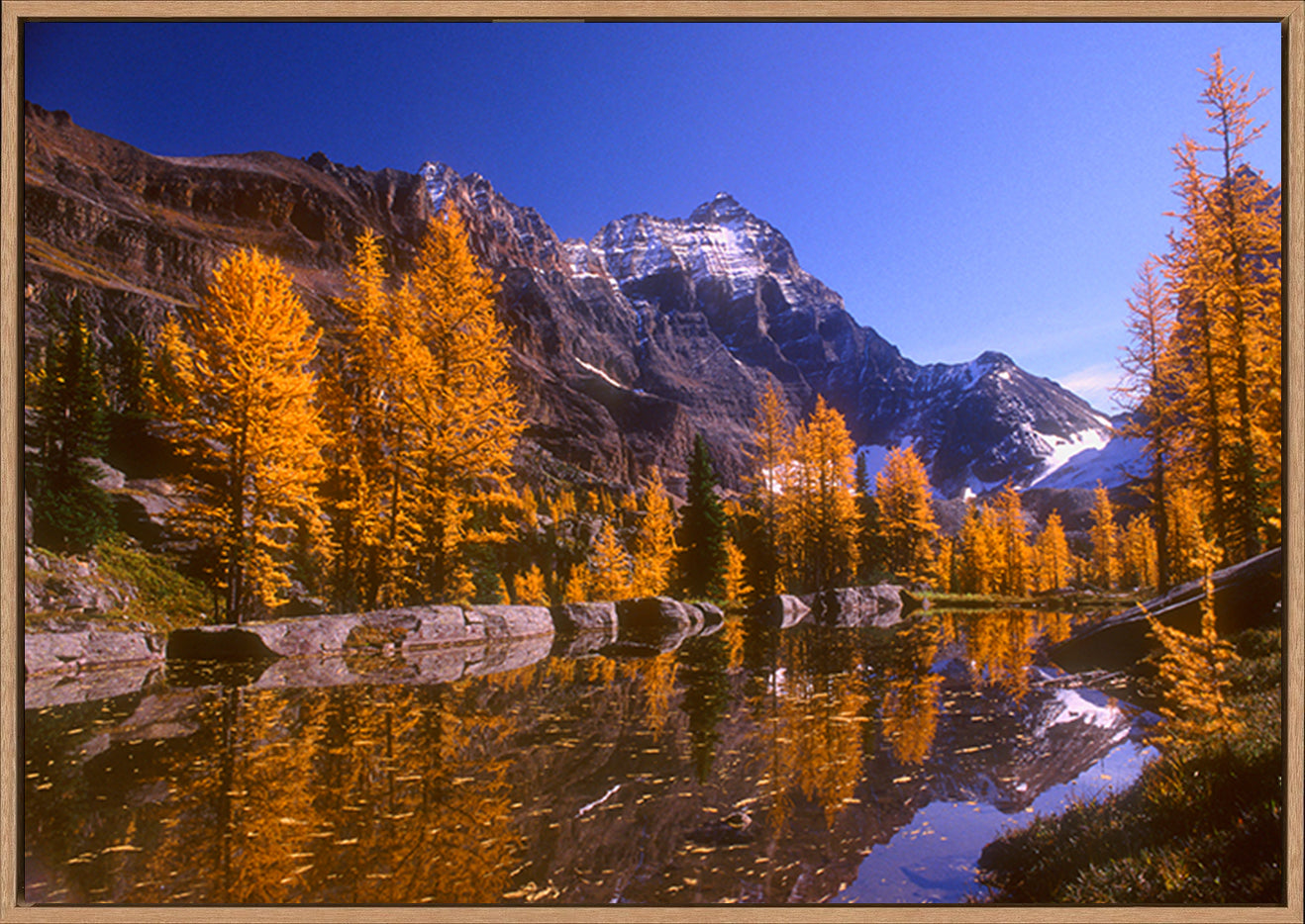 canvas_frame