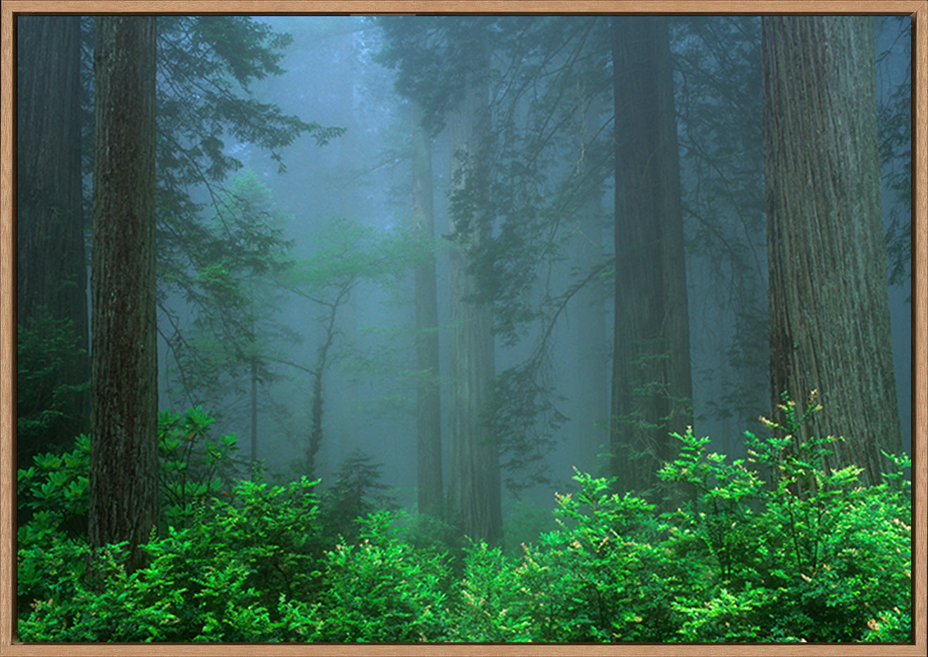 canvas_frame