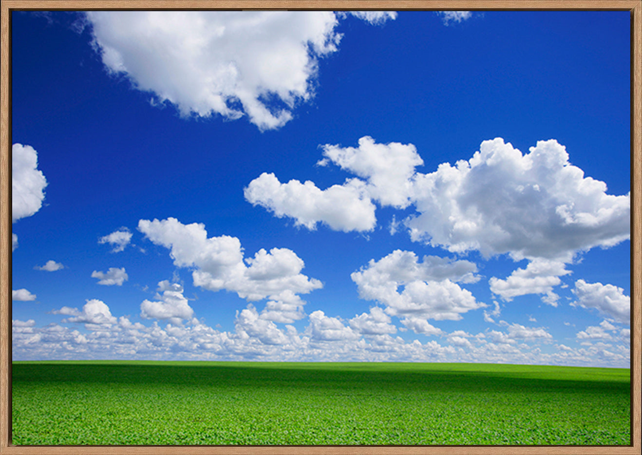 canvas_frame