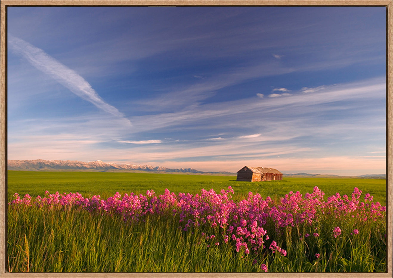 canvas_frame