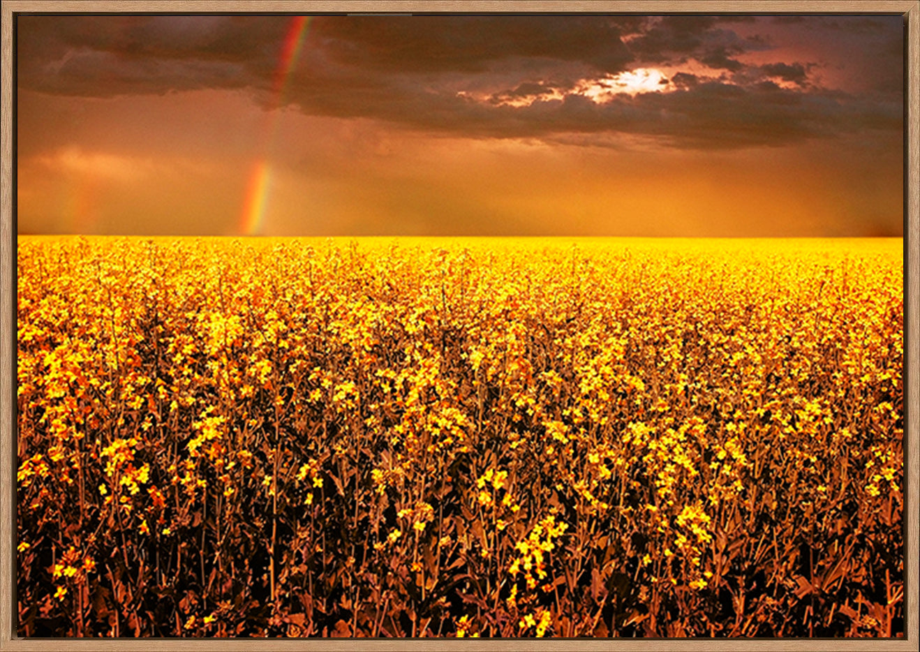canvas_frame