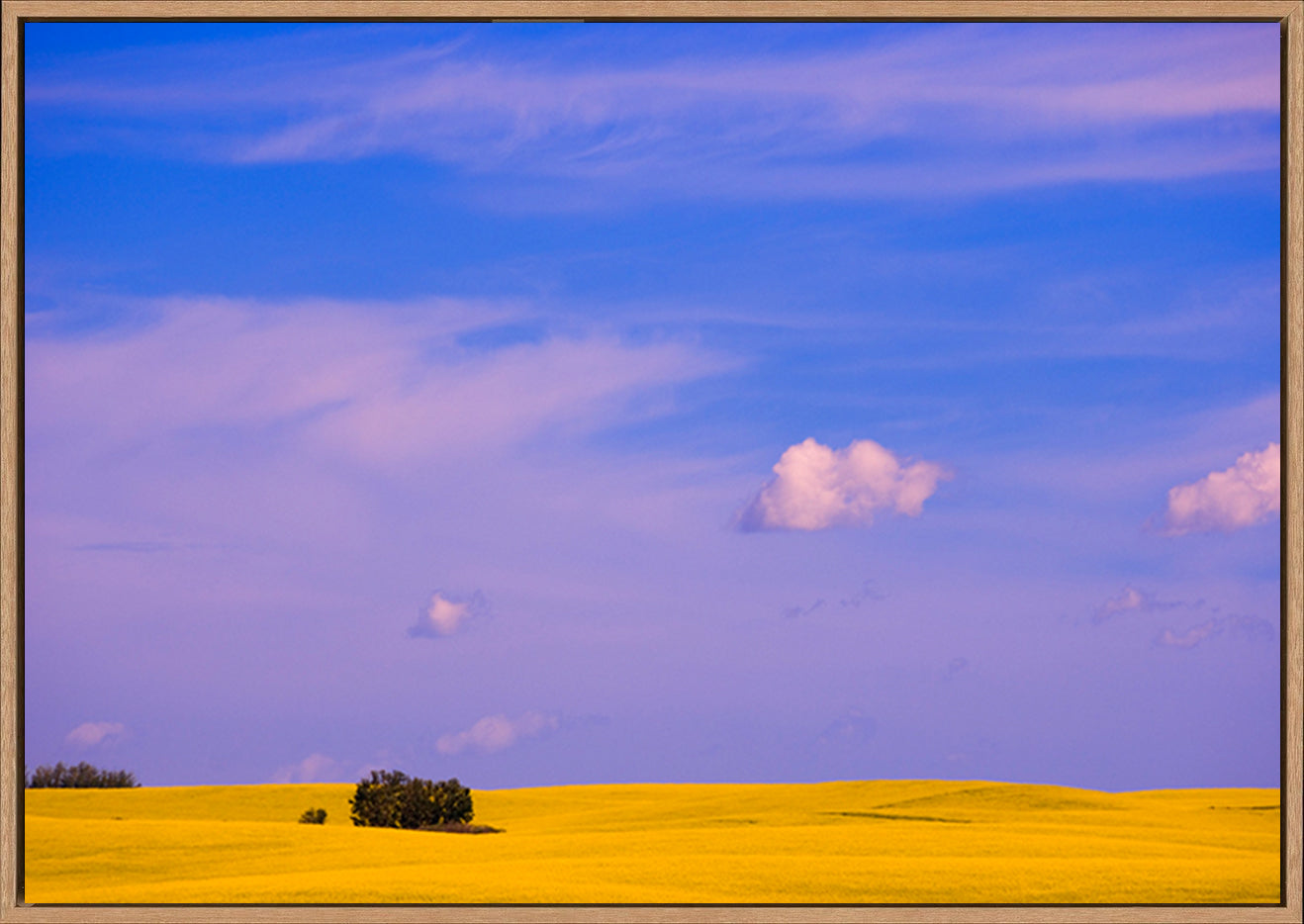 canvas_frame