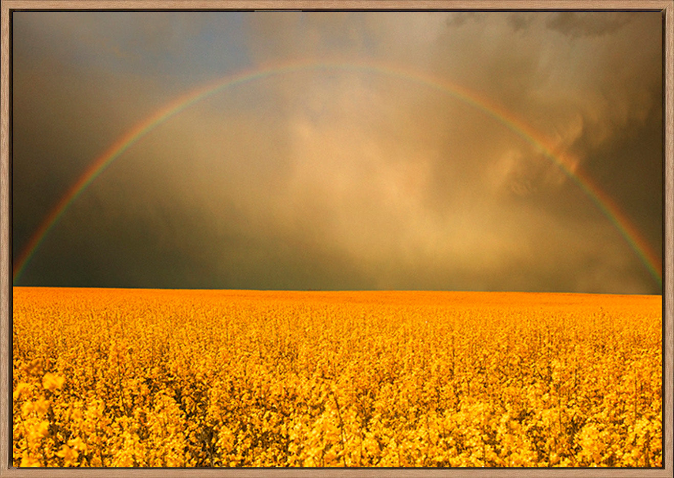 canvas_frame
