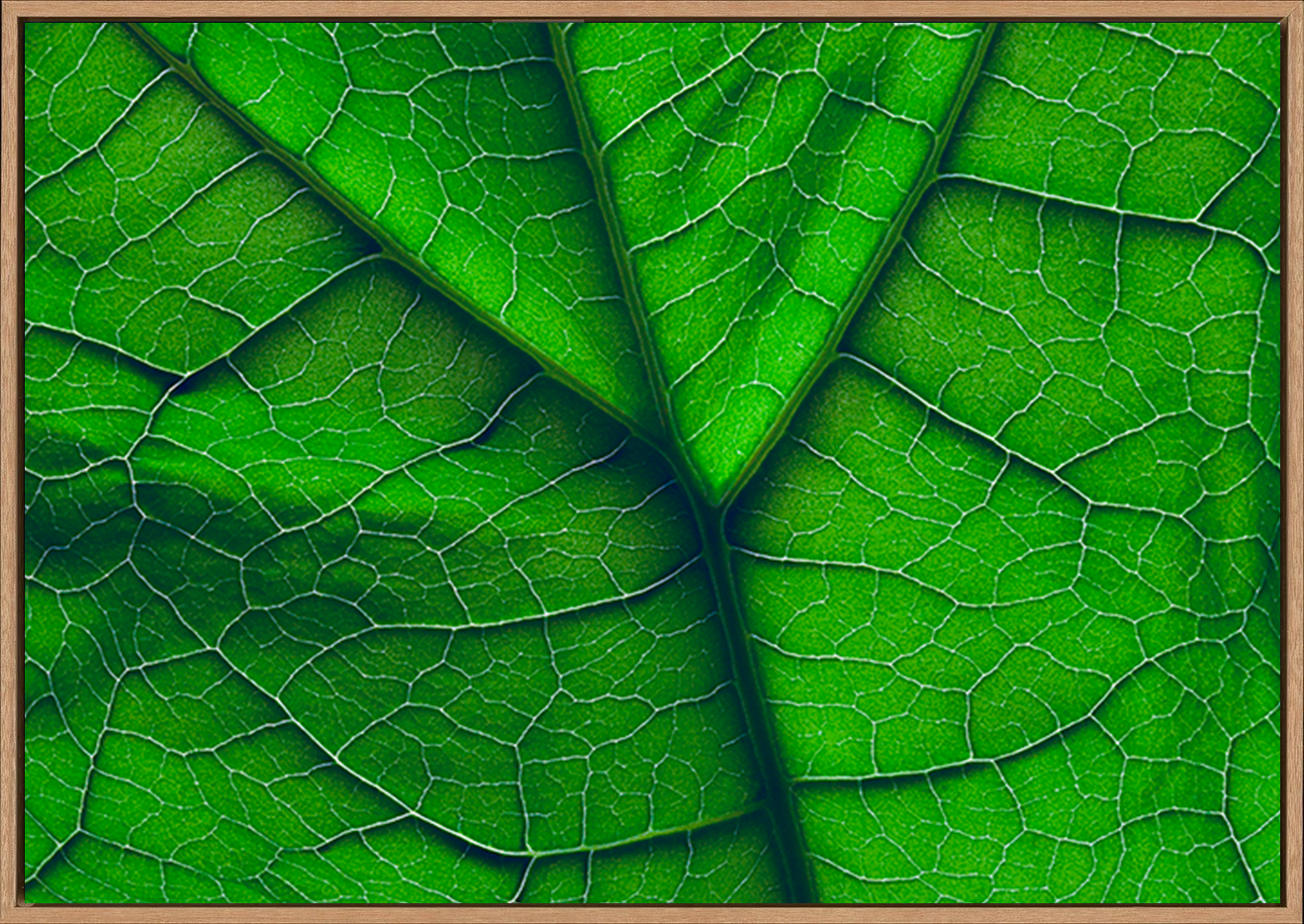 canvas_frame