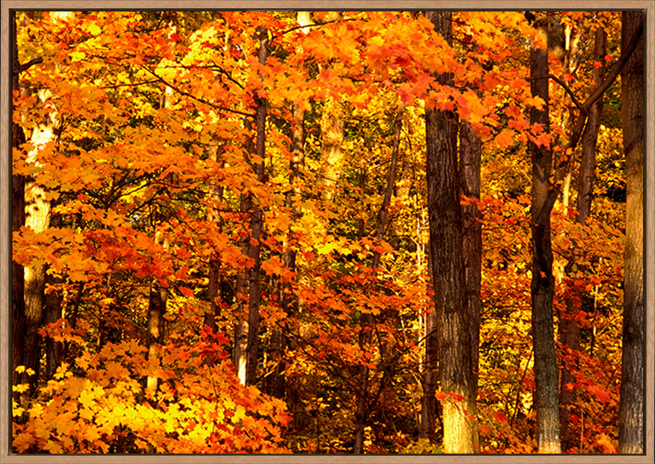 canvas_frame