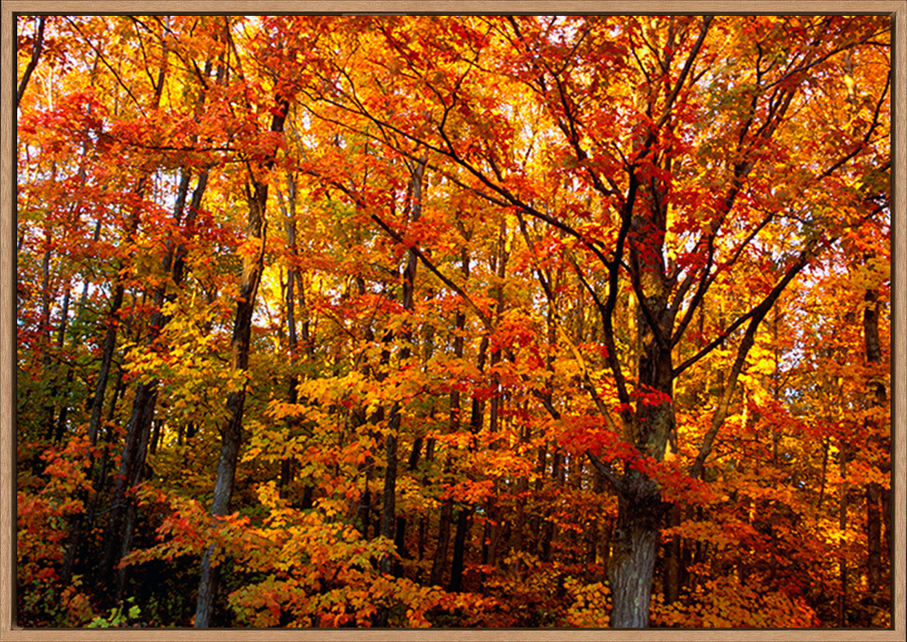 canvas_frame