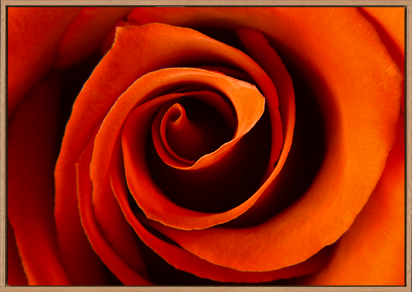 canvas_frame