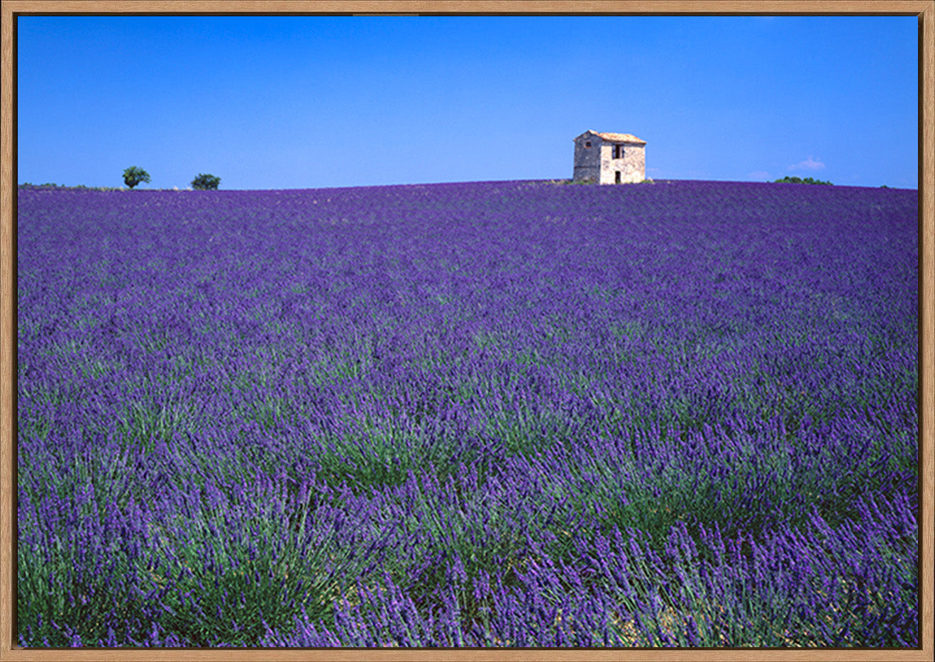 canvas_frame