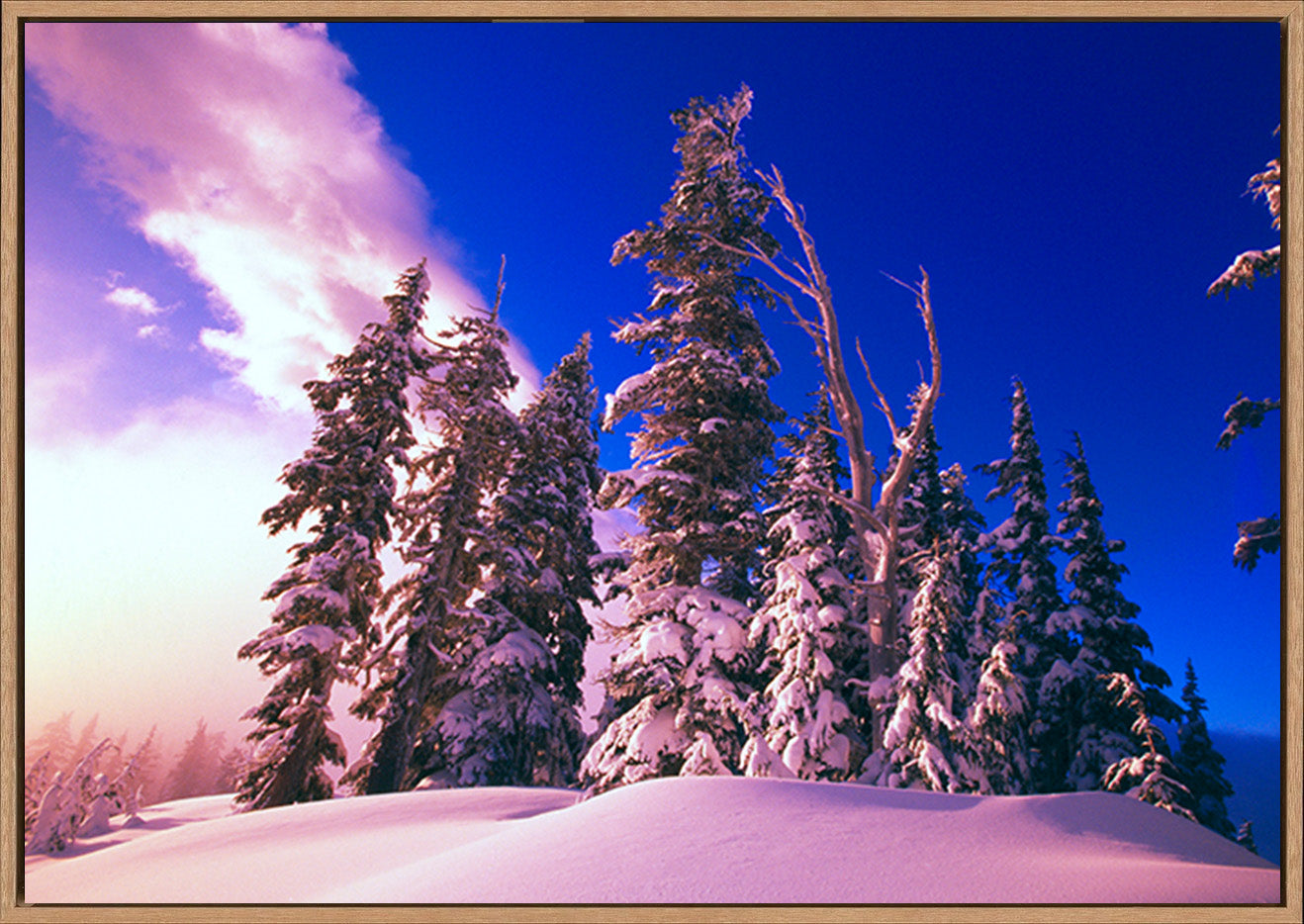 canvas_frame