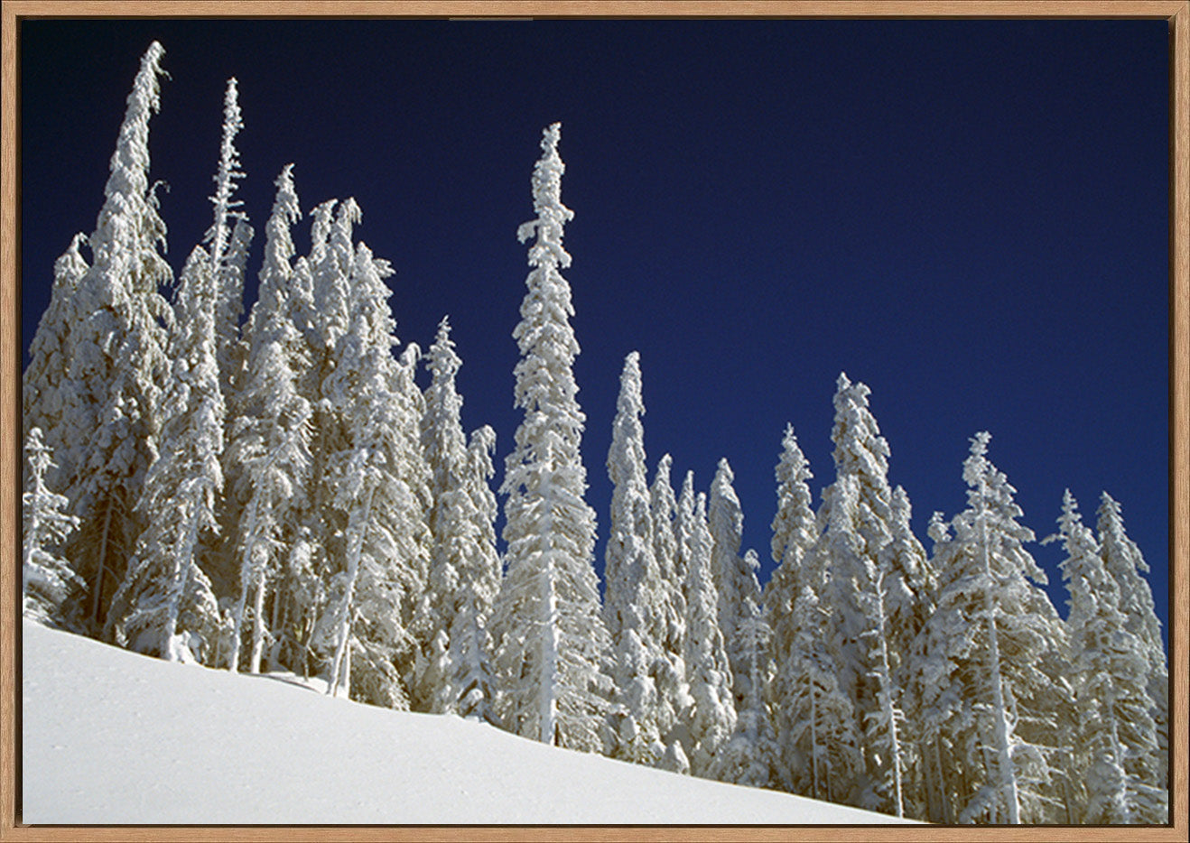 canvas_frame