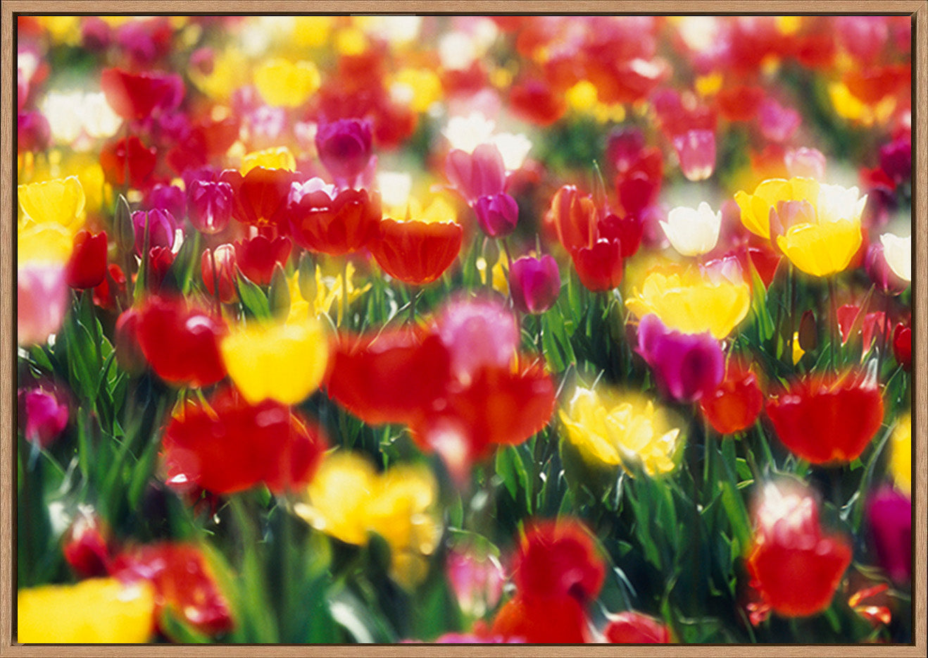 canvas_frame