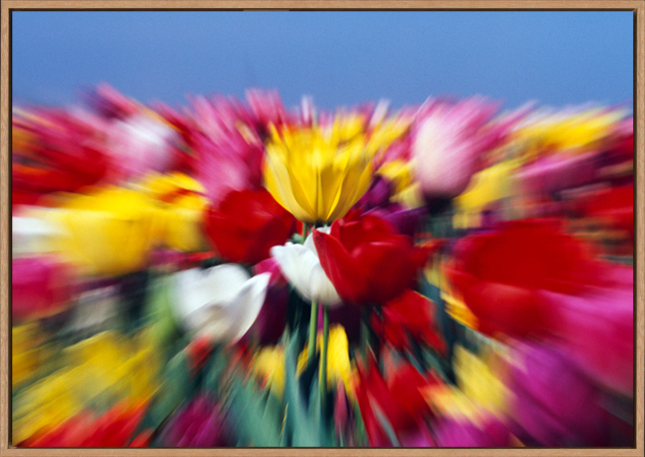 canvas_frame