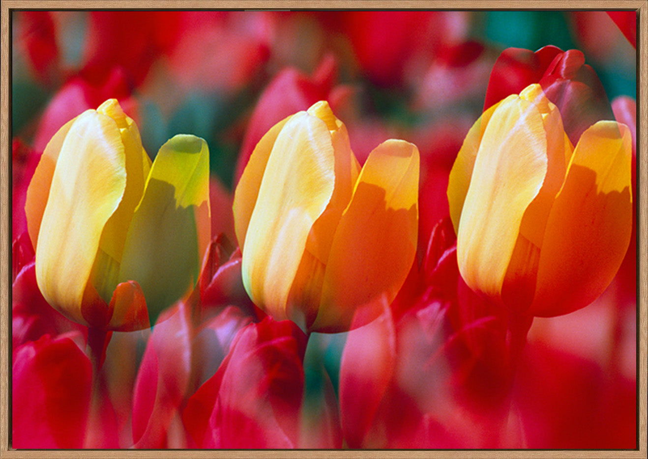 canvas_frame