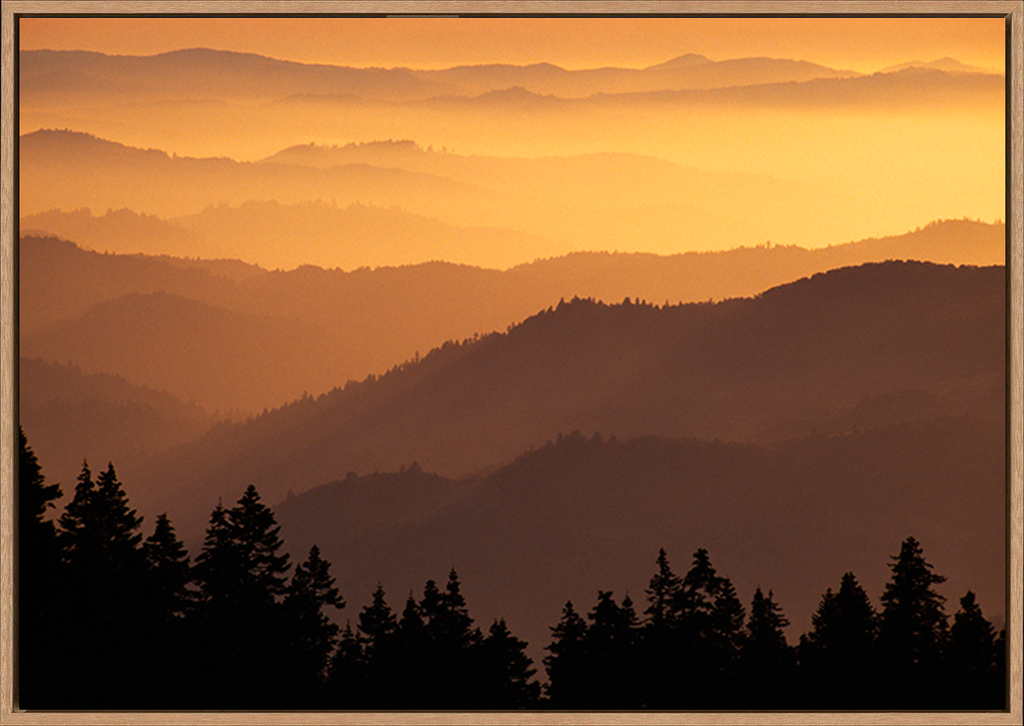 canvas_frame