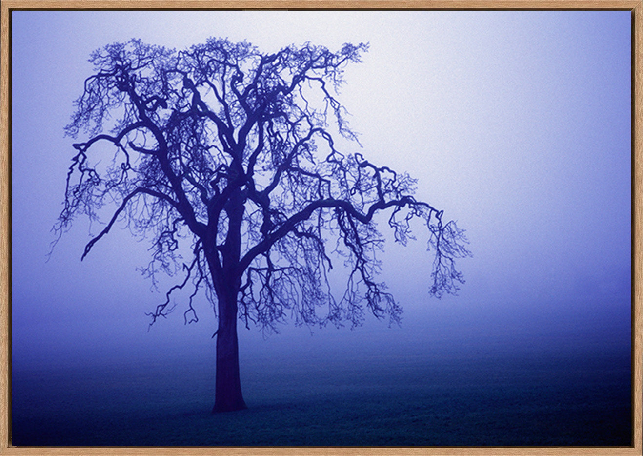 canvas_frame