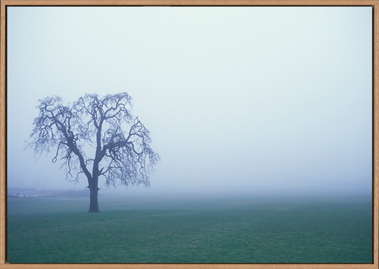 canvas_frame