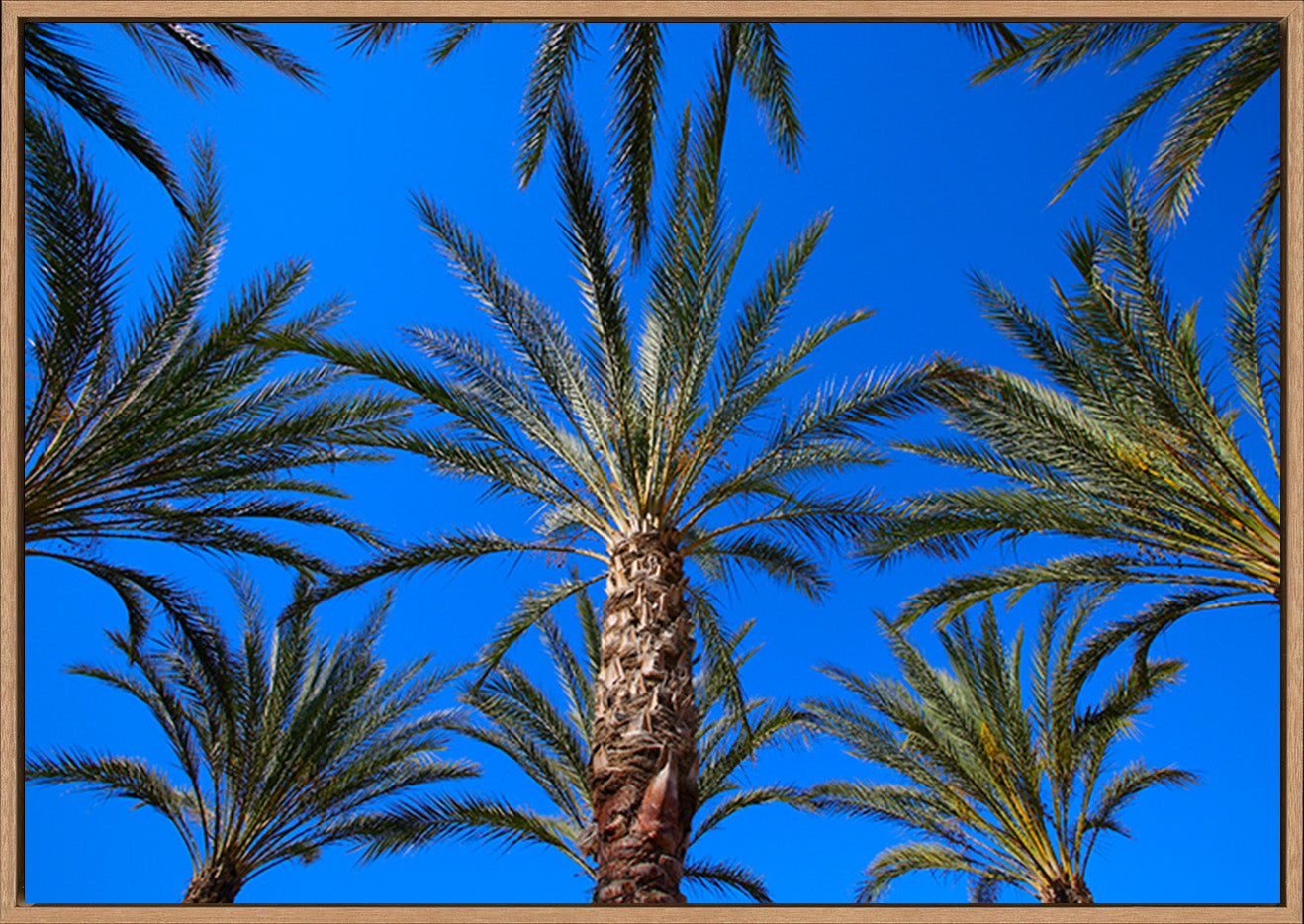 canvas_frame