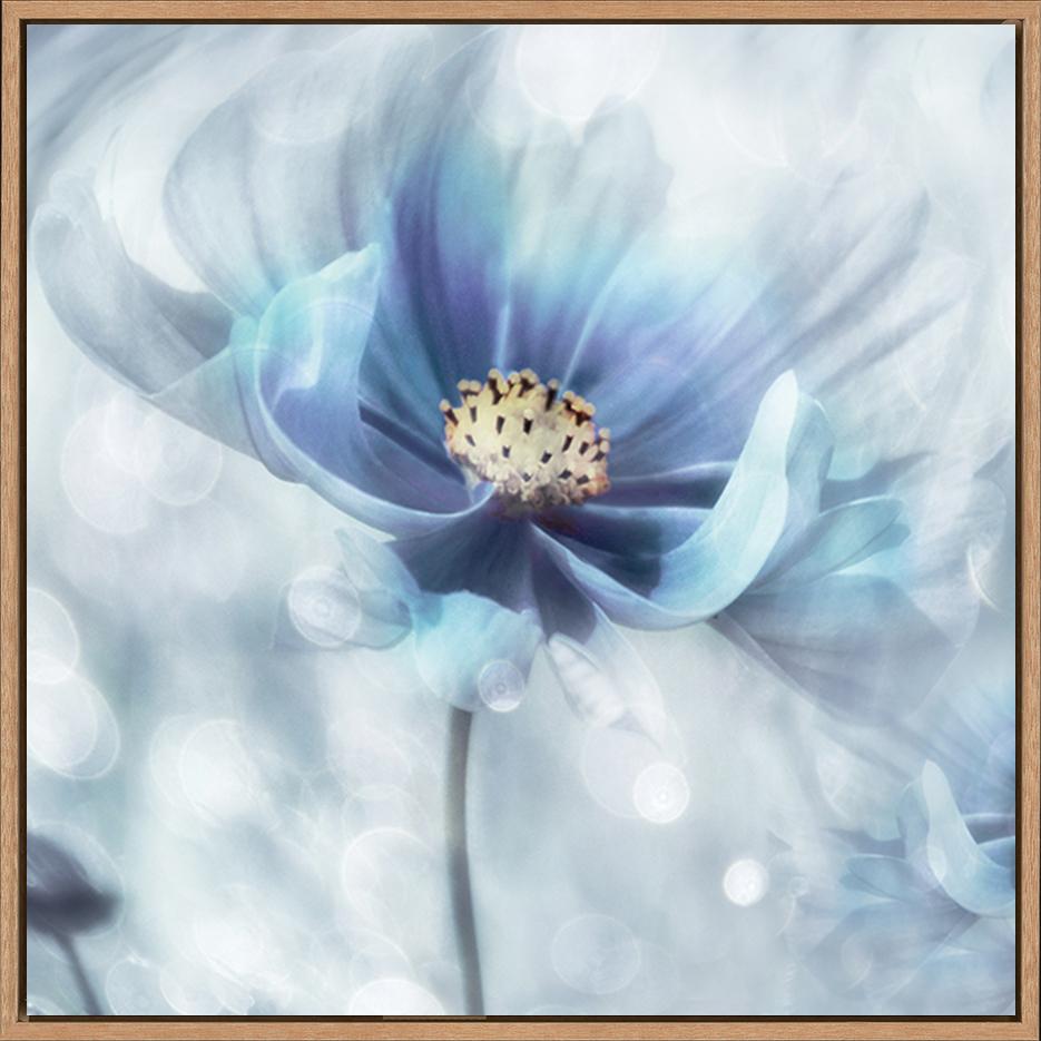 canvas_frame