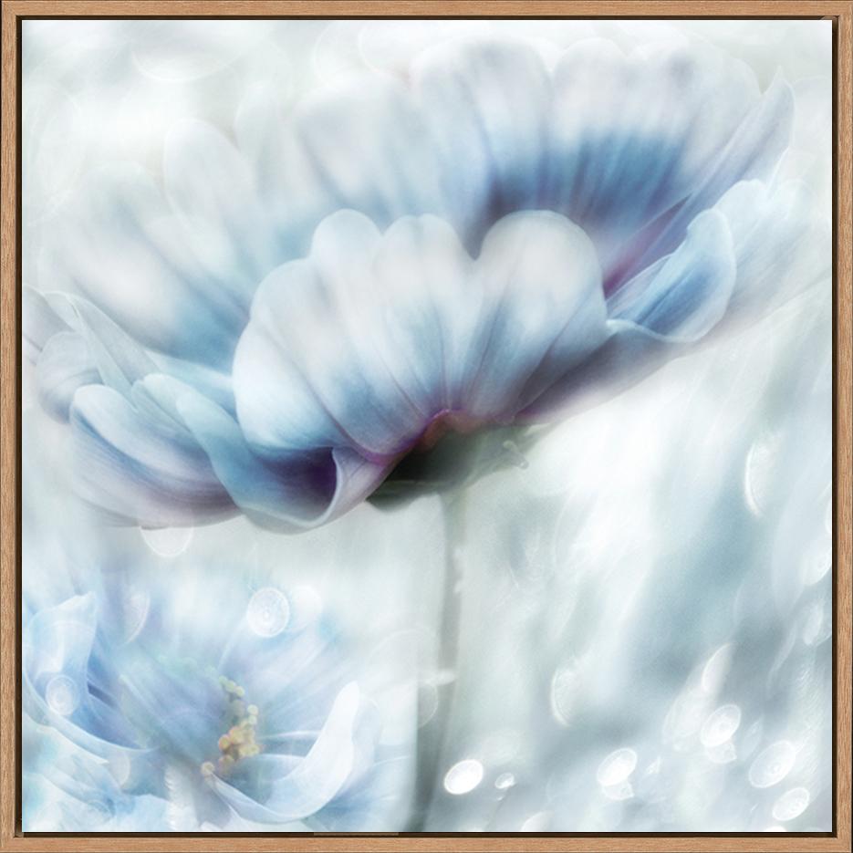 canvas_frame