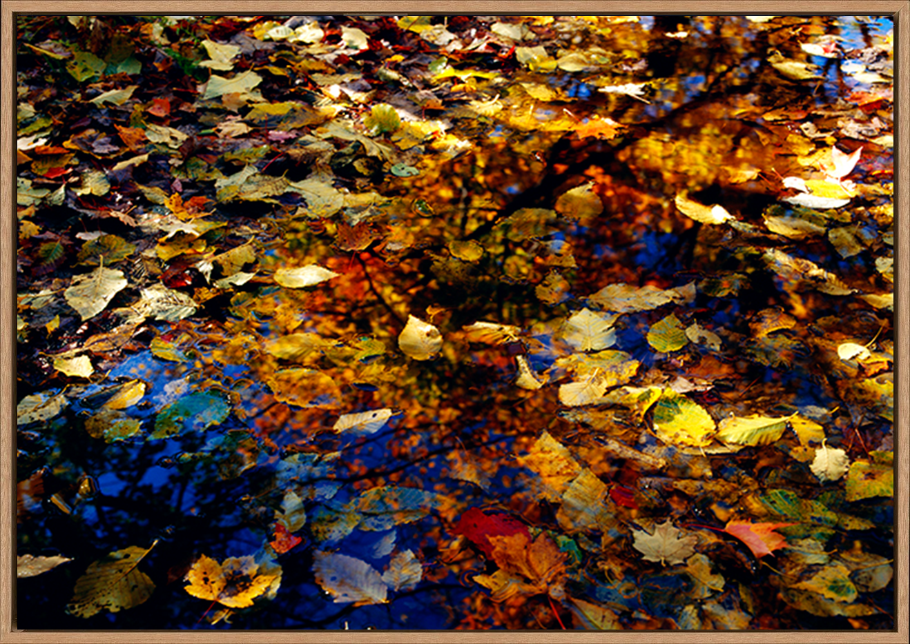 canvas_frame