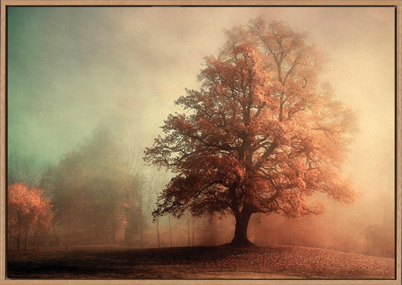 canvas_frame