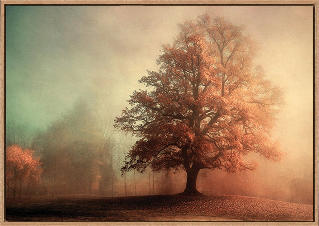 canvas_frame